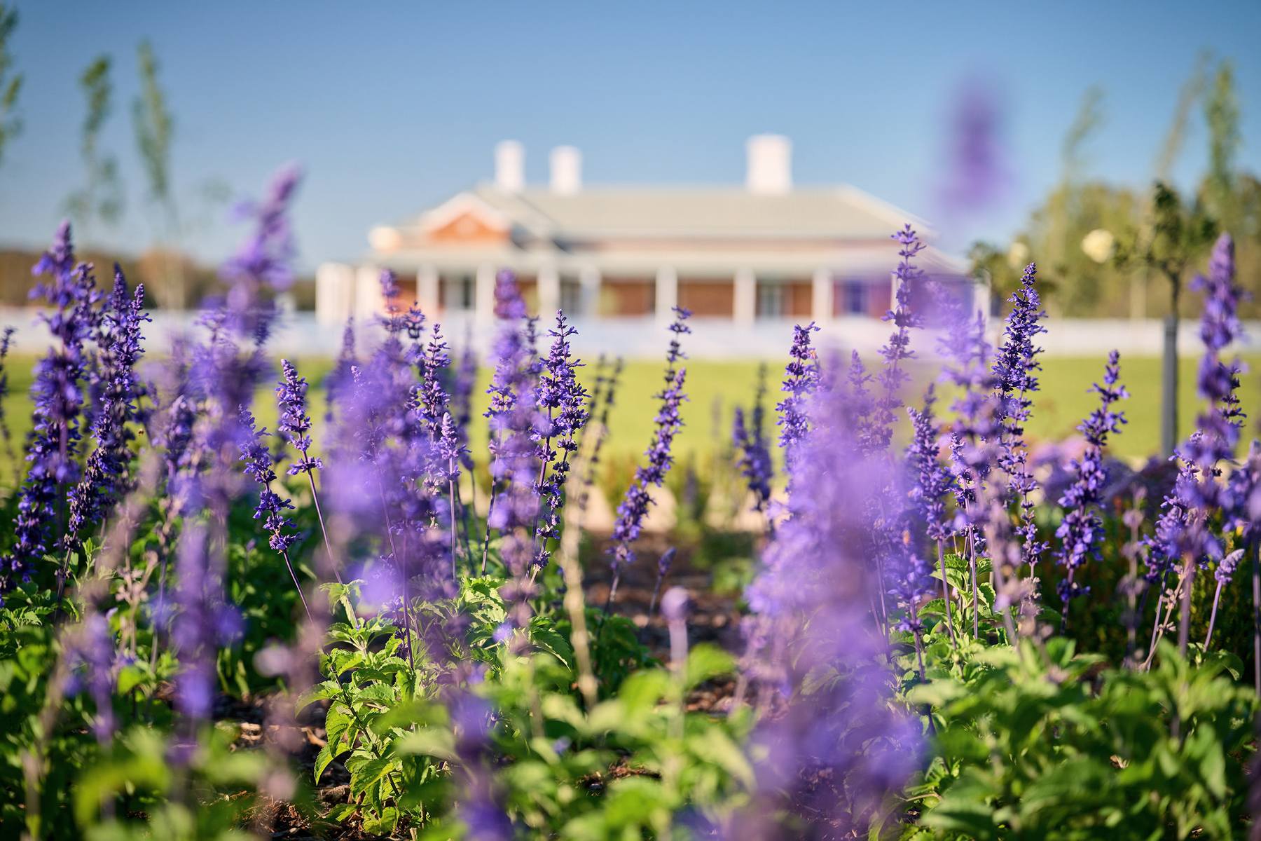 [Land for Sale] Robinson Grove Estate, Bellevue OpenLot